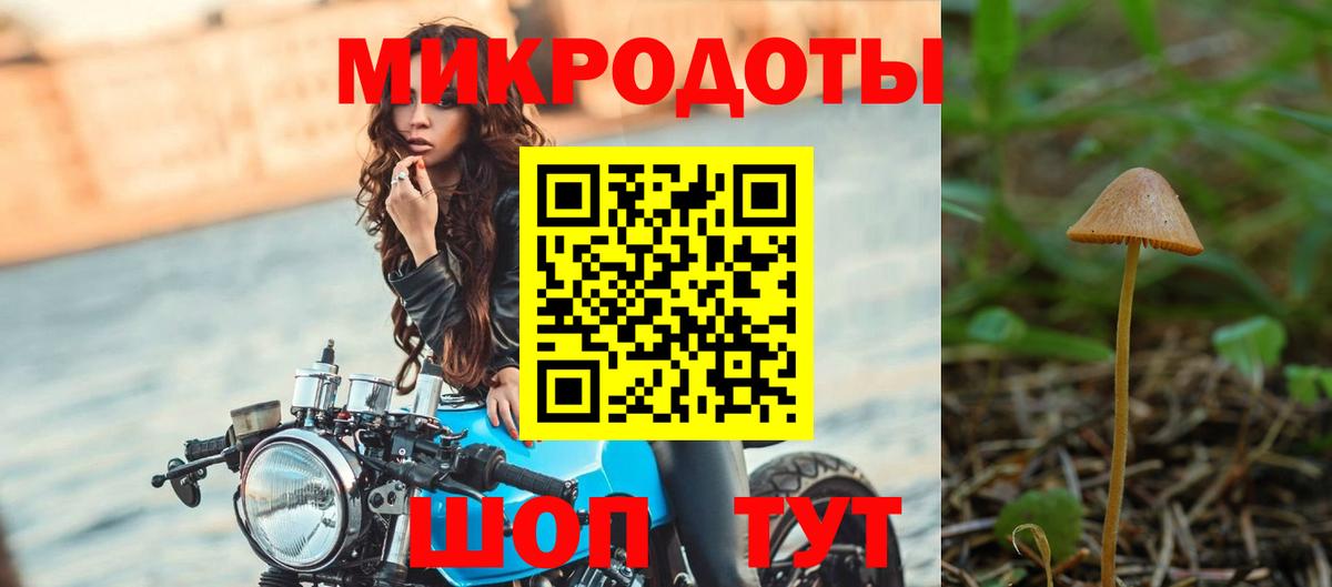 Нарткала  Псилоцибиновые грибы Psilocybe  Вход с VPN 